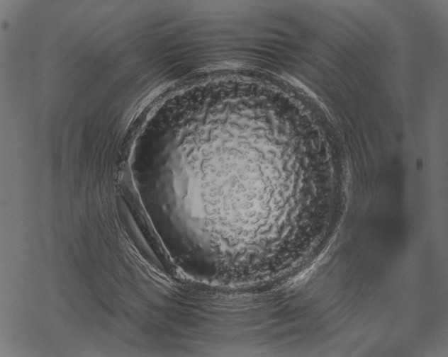 X0000070210921200605301358