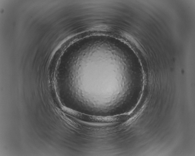 X0000070210923200605301358