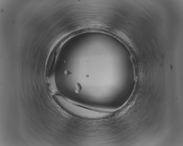 X0000070210924200605301358