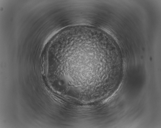 X0000070210925200605301358