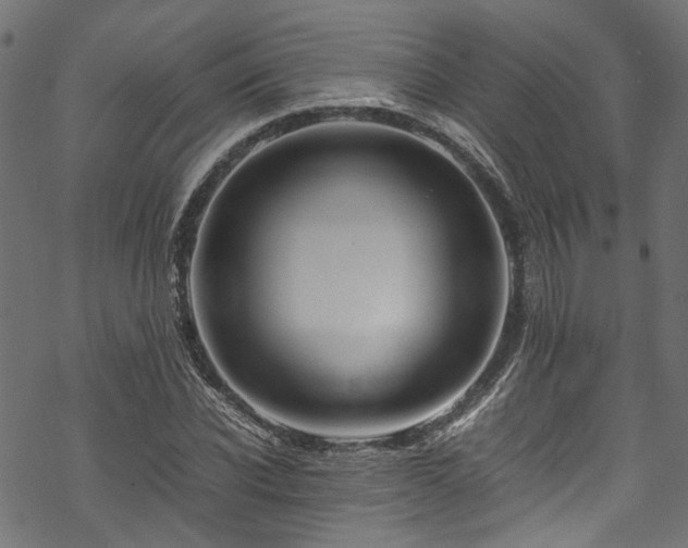 X0000070210926200605301359