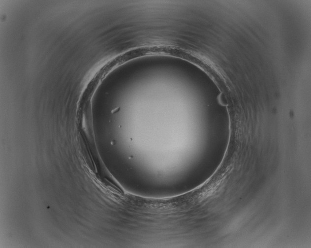 X0000070210927200605301359