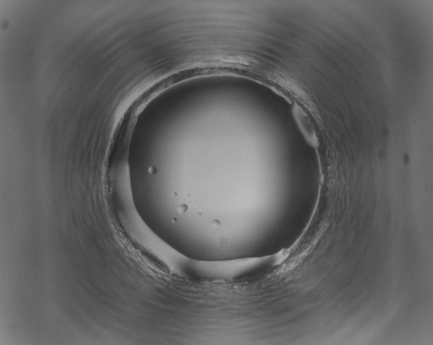 X0000070210928200605301359