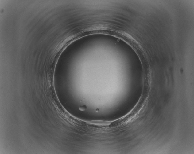 X0000070210929200605301359