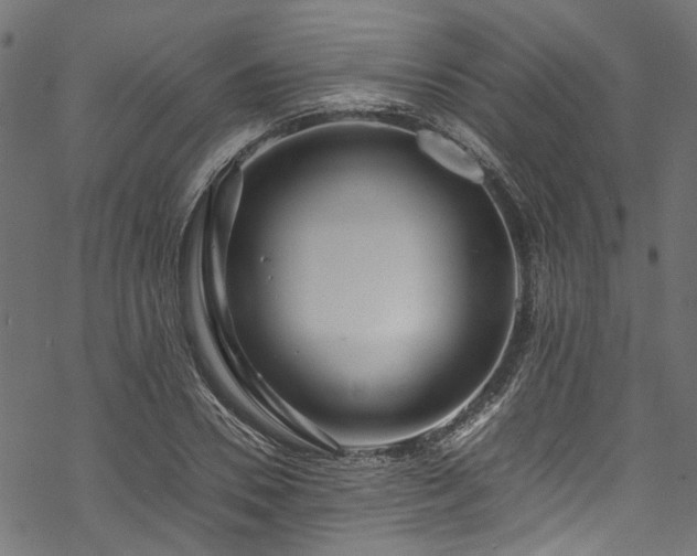 X0000070210930200605301359