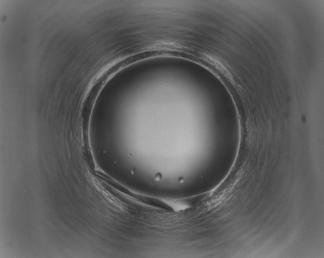 X0000070210931200605301359