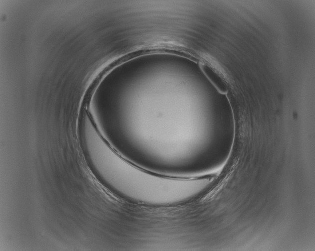 X0000070210932200605301359