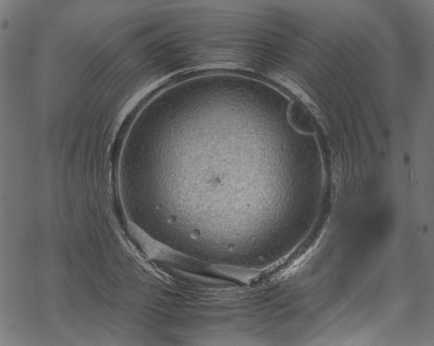 X0000070210933200605301359