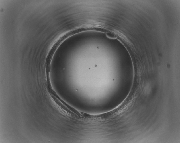 X0000070210934200605301359