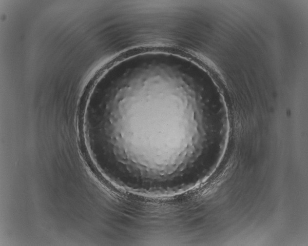 X0000070210935200605301359