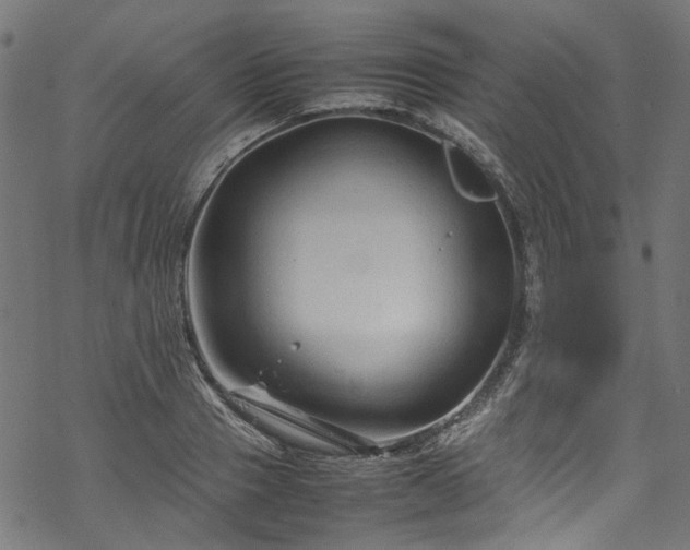 X0000070210937200605301359