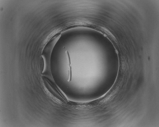 X0000070210938200605301359