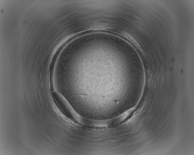 X0000070210939200605301359