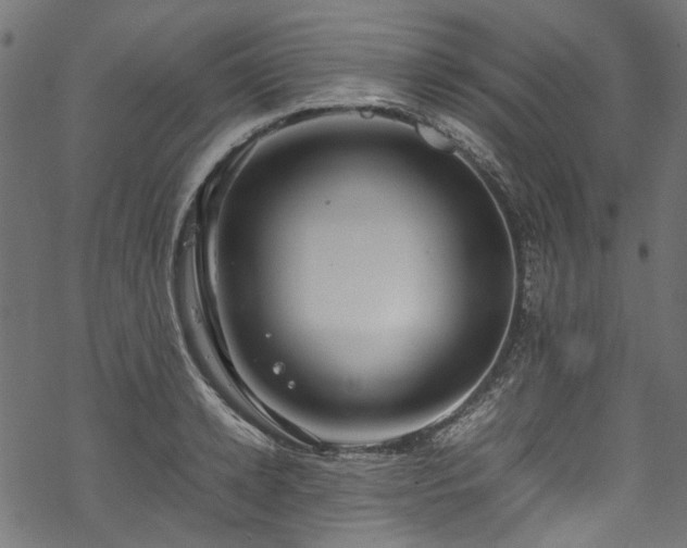 X0000070210942200605301359