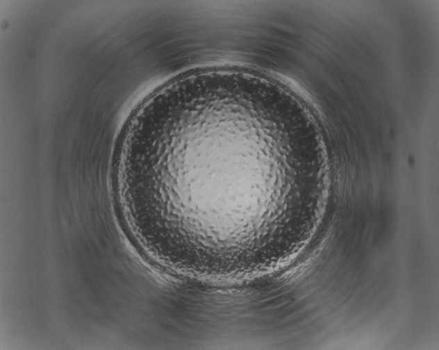 X0000070210943200605301359