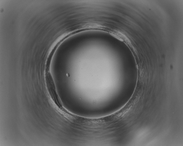 X0000070210947200605301359