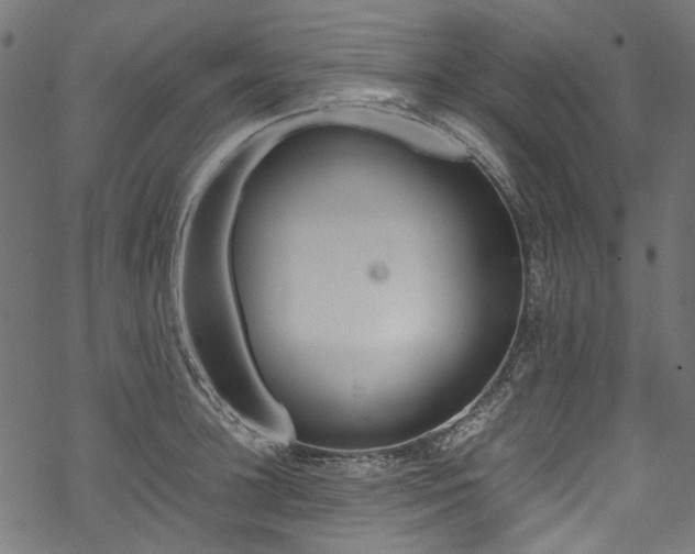 X0000070210948200605301359