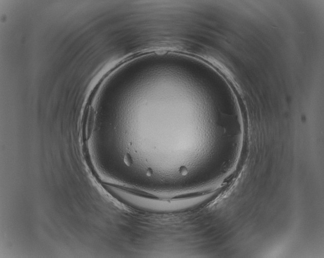 X0000070210949200605301359