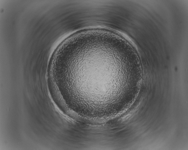 X0000070210951200605301359