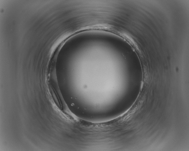 X0000070210952200605301359