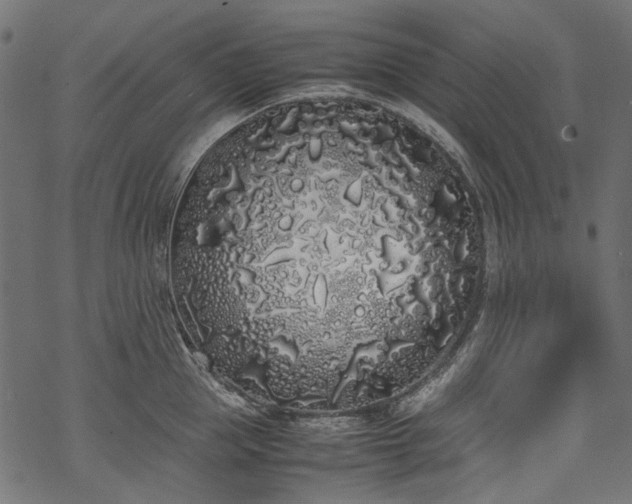 X0000070210953200605301359