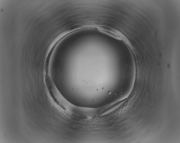 X0000070210955200605301359