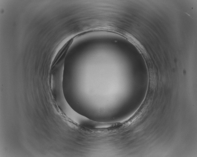 X0000070210956200605301359