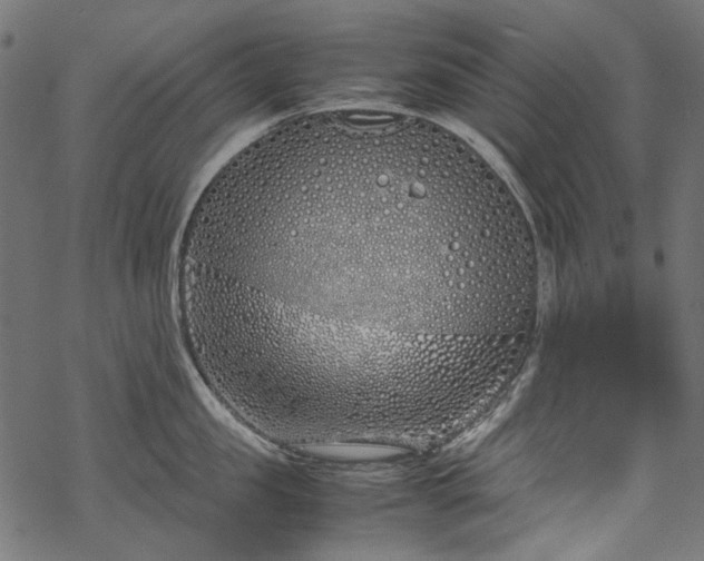 X0000070210957200605301359