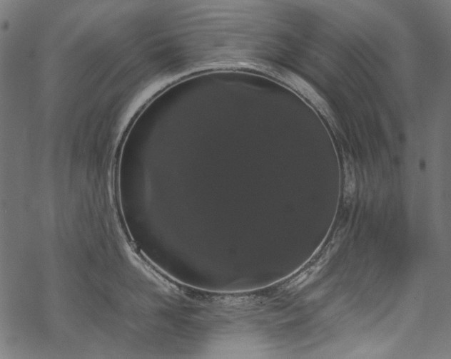 X0000070210958200605301359