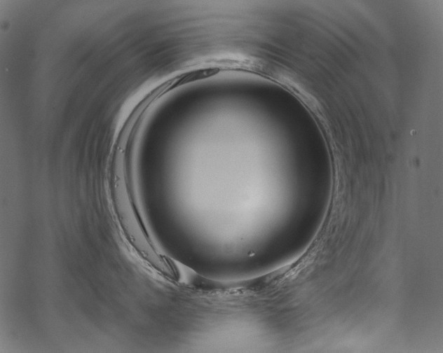 X0000070210960200605301359