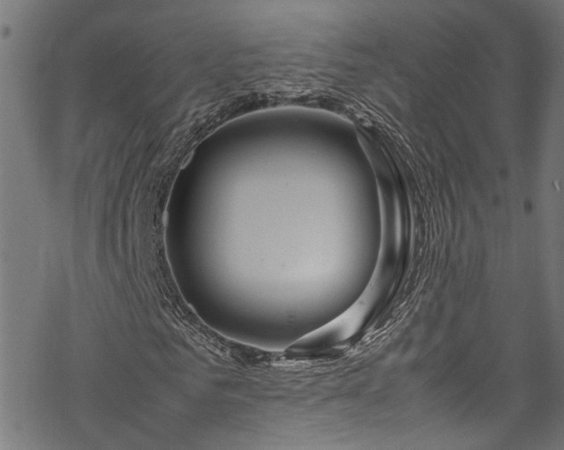 X0000070210961200605301358