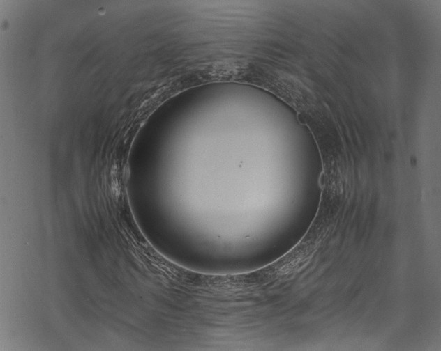 X0000070210962200605301358