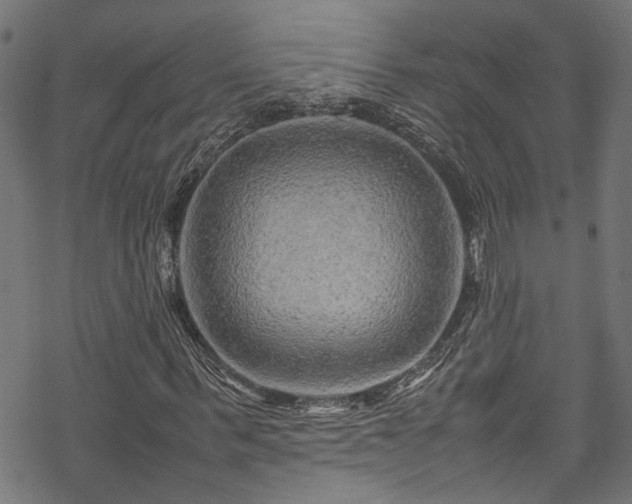 X0000070210963200605301358