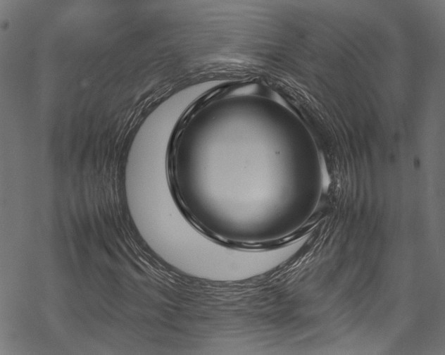 X0000070210964200605301358