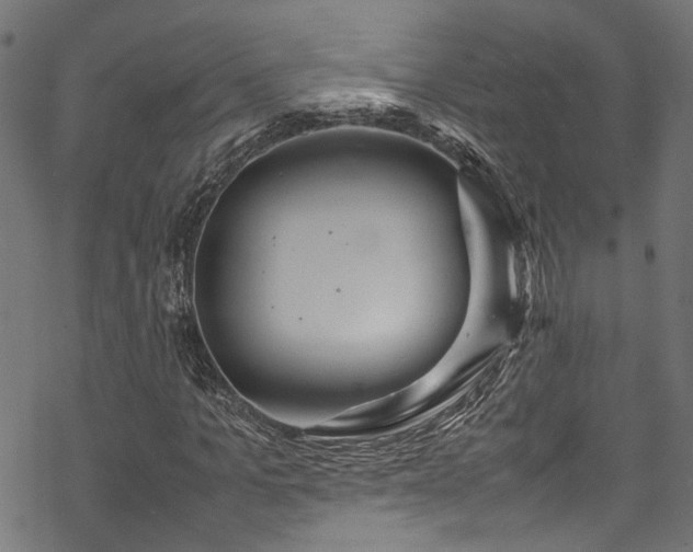 X0000070210965200605301358