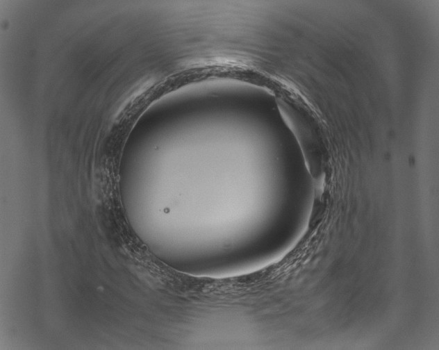 X0000070210967200605301358