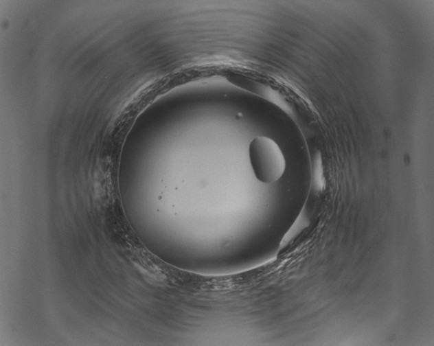 X0000070210968200605301358