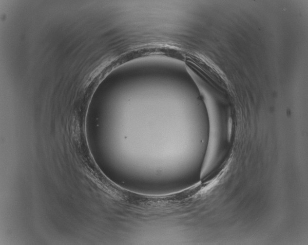 X0000070210969200605301358