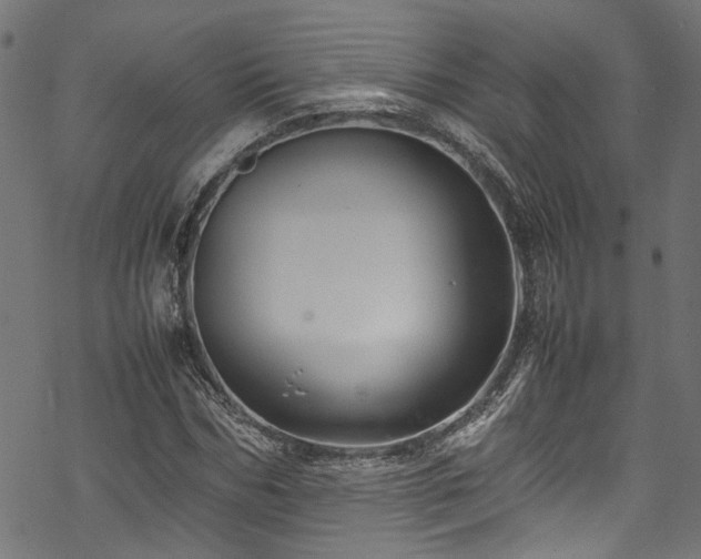 X0000070210970200605301358