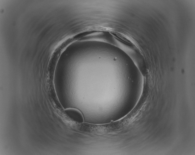 X0000070210971200605301358