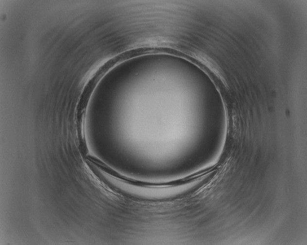 X0000070210972200605301358