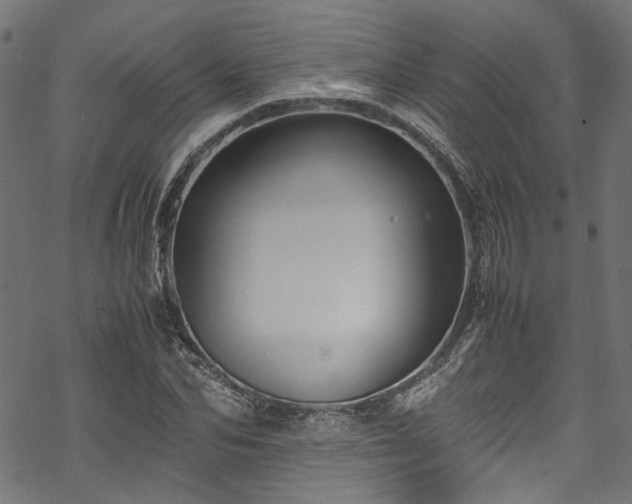 X0000070210974200605301358