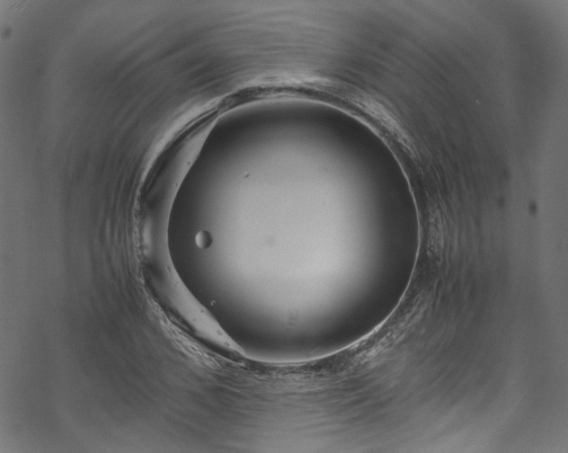 X0000070210976200605301358