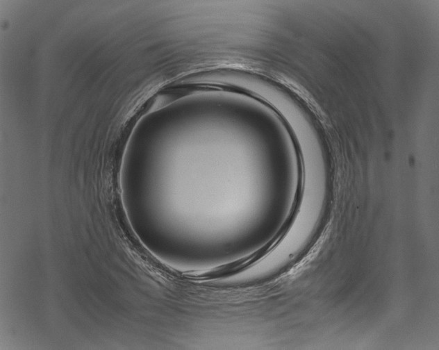 X0000070210977200605301358