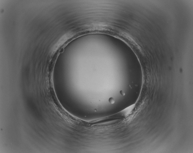 X0000070210978200605301358