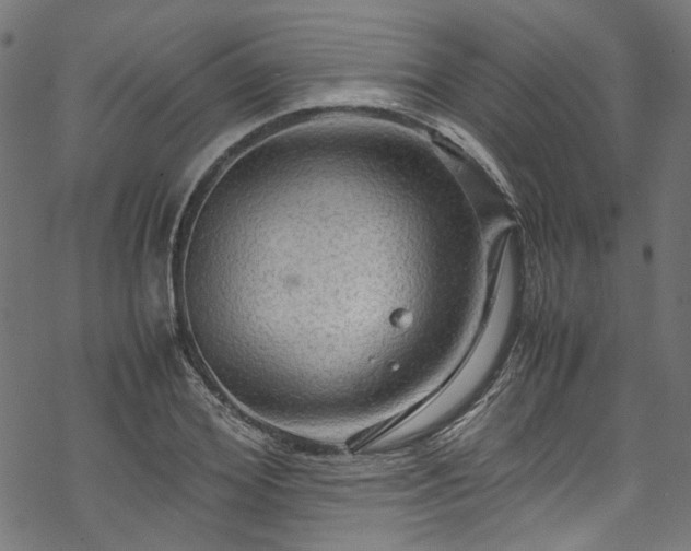 X0000070210980200605301358