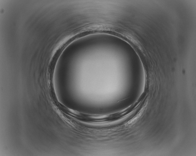 X0000070210981200605301358