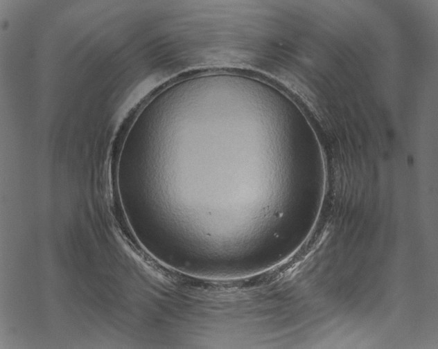 X0000070210982200605301358