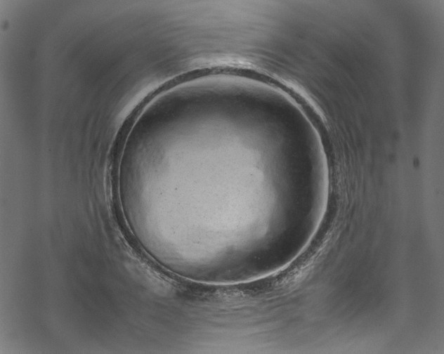 X0000070210983200605301358