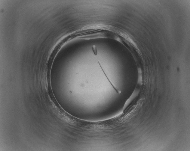 X0000070210984200605301358